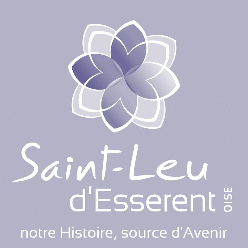 logo_stleu_bleu-page-001