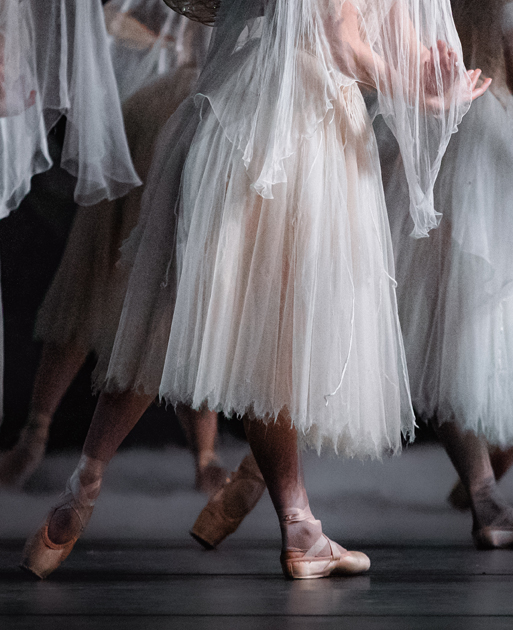 collection_giselle_image_1