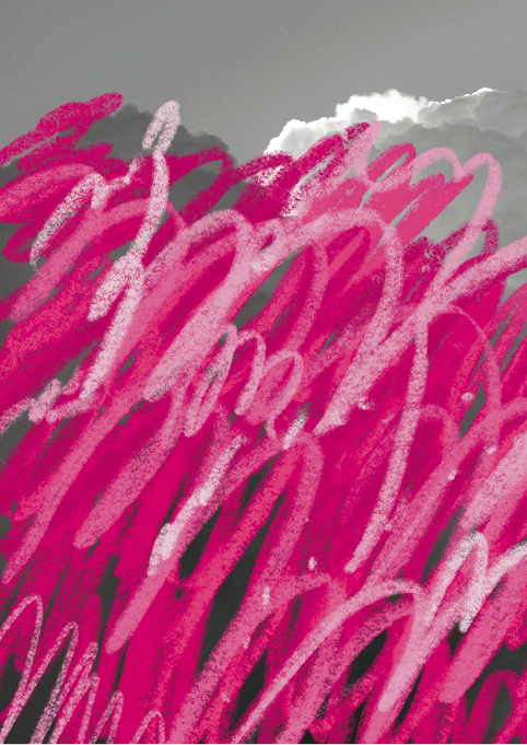visuel_ptitestomettes-2
