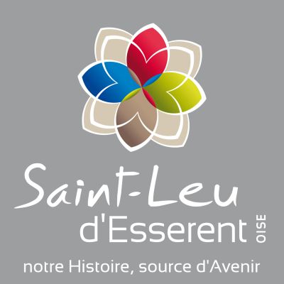 logo_stleu_10x10