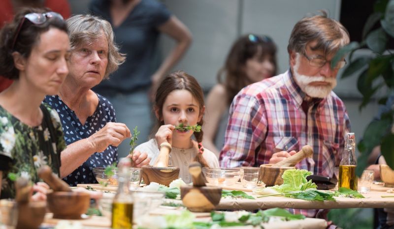 cuisine-botanique-l-organisation