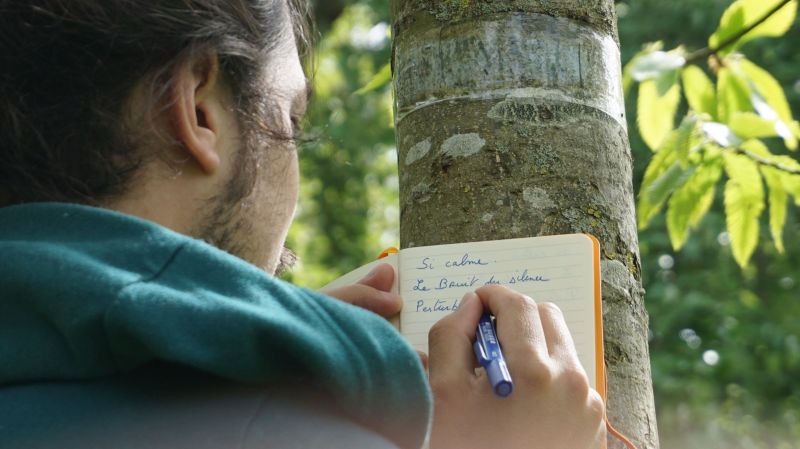 haiku-s-insitu2_-c-cietourneausol