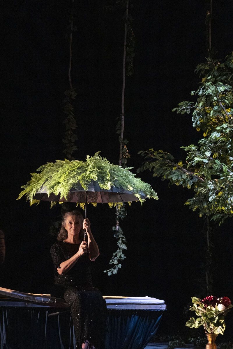 l_affolement_des_bichespturmel-159