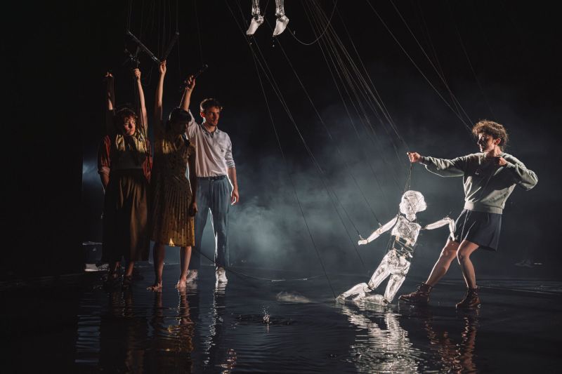 13.-56-dsc08067-avec-accentuation-bruit-scaled