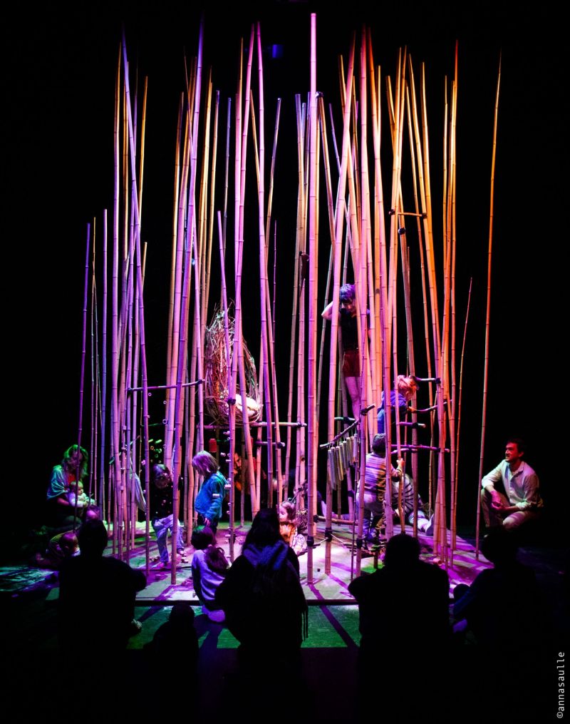 rhizome_ciemoso_-annasaulle_portrait-2