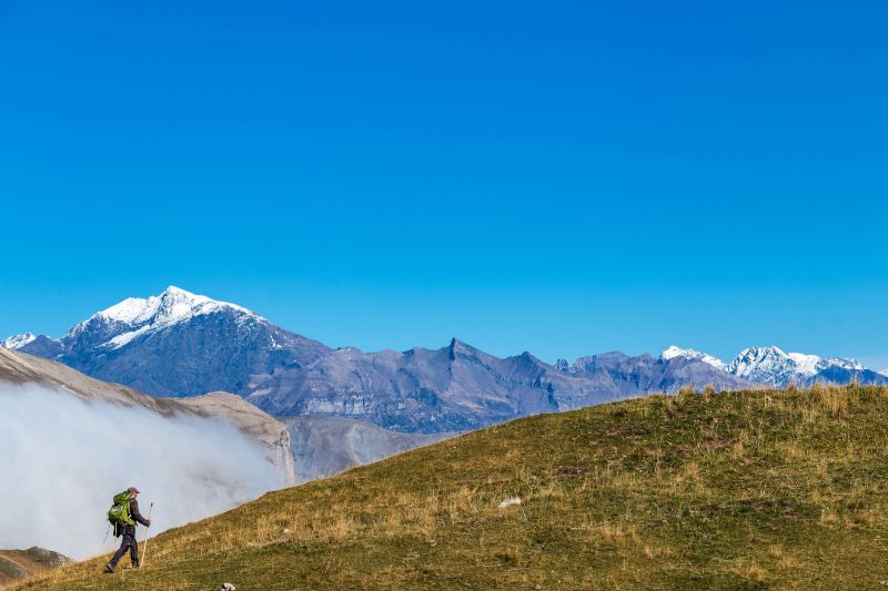 vivre-avec-les-loups-bertrand-bodin
