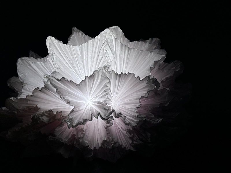 a-petits-plis-5-clemence-belenus