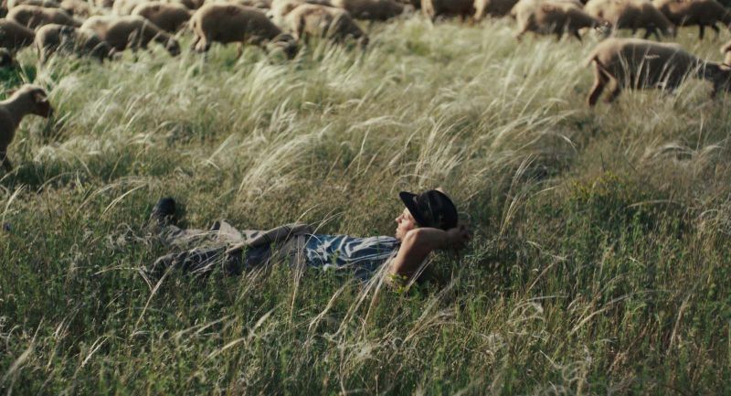 b78d13a8746cb23a0e63b9311f703a8c