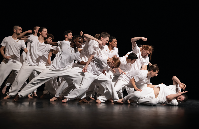 lazarusdidier-philispart