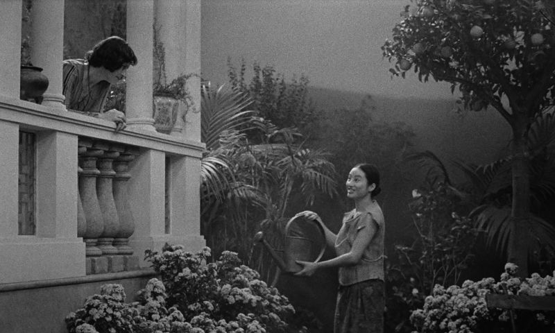 gt-2024-uma-pedra-no-sapato-vivo-film-shellac-sud-cinema-defacto_4