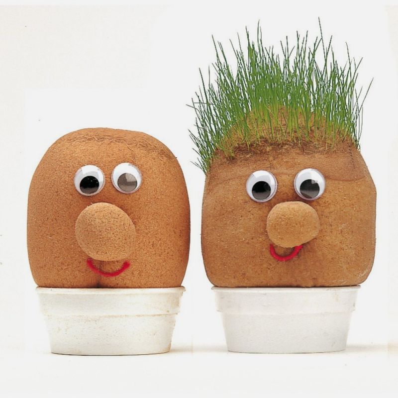 monsieur-herbe