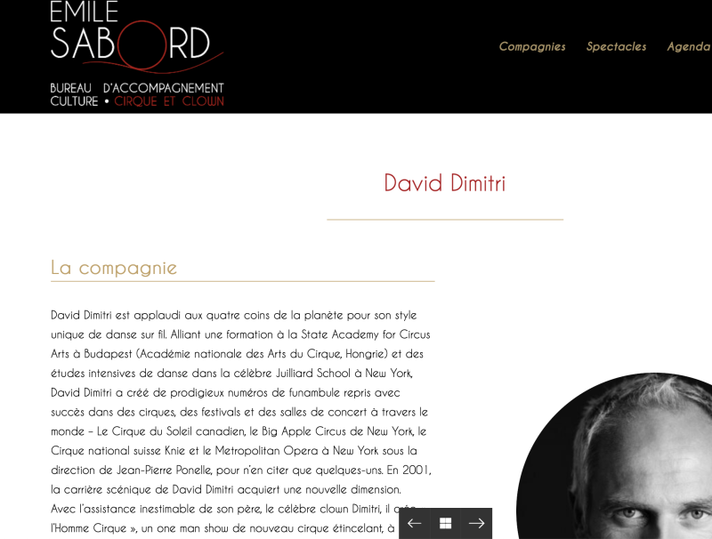 site_david-dimitri