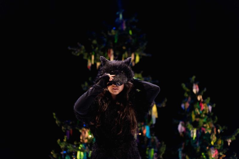 la-louve-cie-joli-mai-marielle-rossignol-7