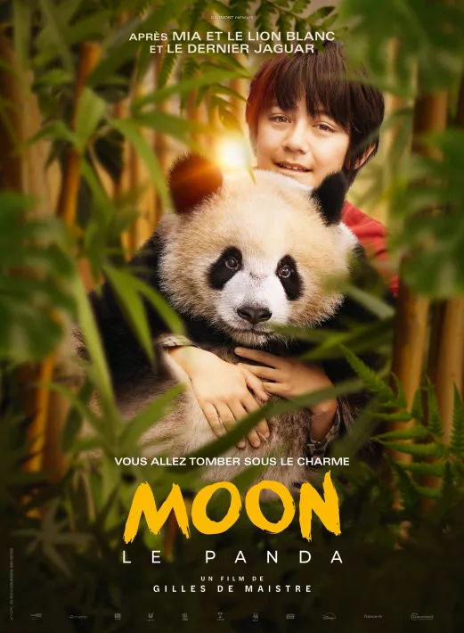 affiche_moon-le-panda