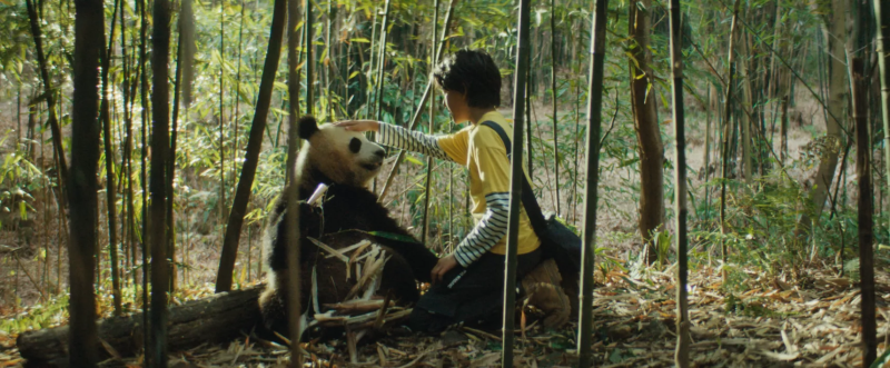 25_02_06_1738863711_1_moon-le-panda-1-c-2024-mai-juin-productions-gaumont-france-2-cinema.jpg