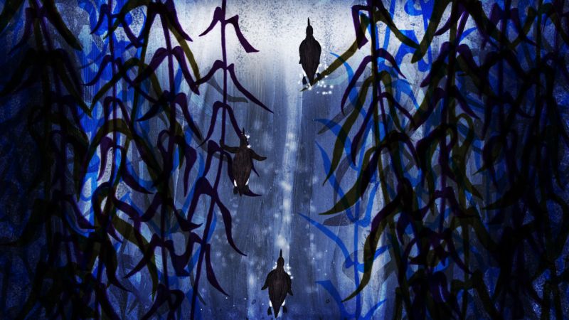 le-saut-du-pingouin_2