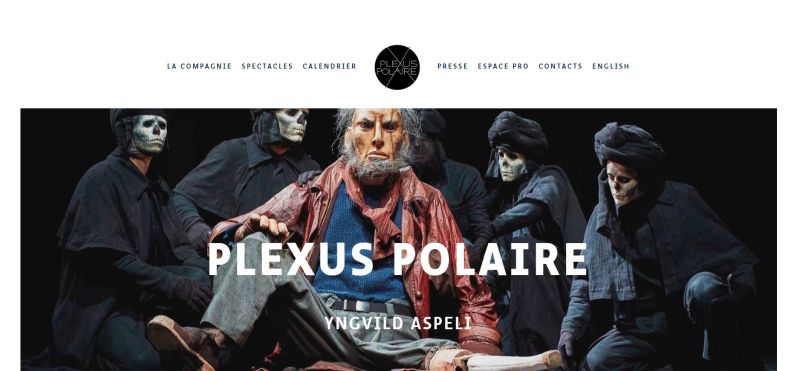 site_plexuspolaire