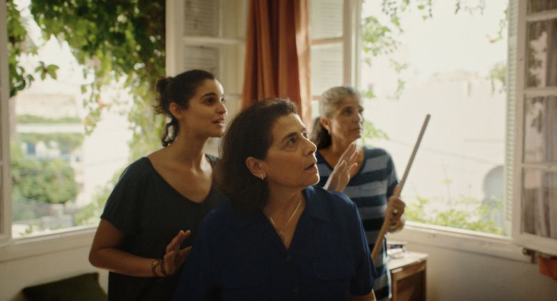 avoixbasse_00215448_sbleylabouzid