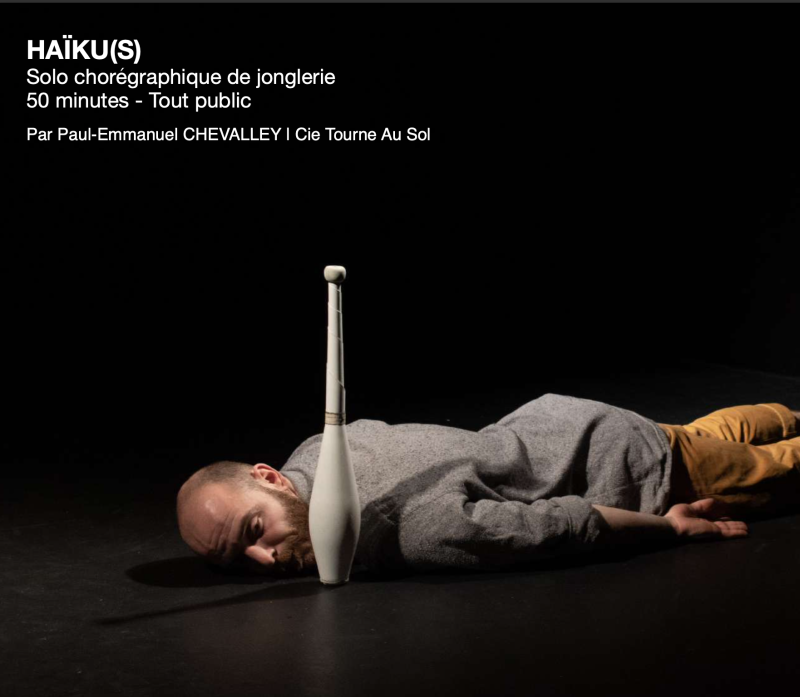 tourne-au-sol-haikus-dossier-i