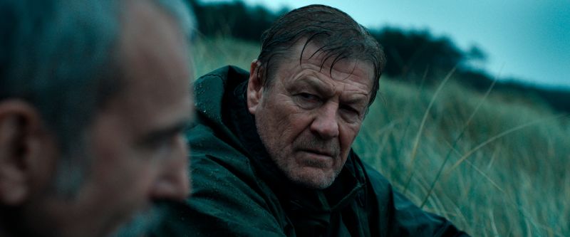 anemone_02-2026-condor-distribution