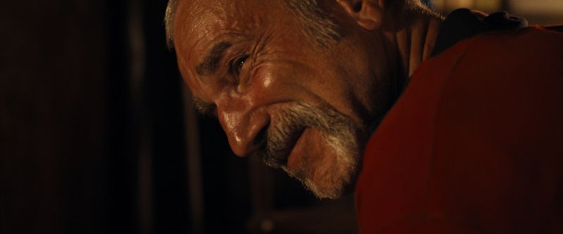 anemone_01-2026-condor-distribution