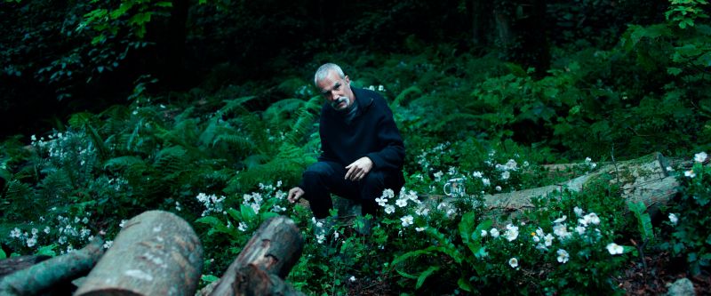 anemone_07-2026-condor-distribution