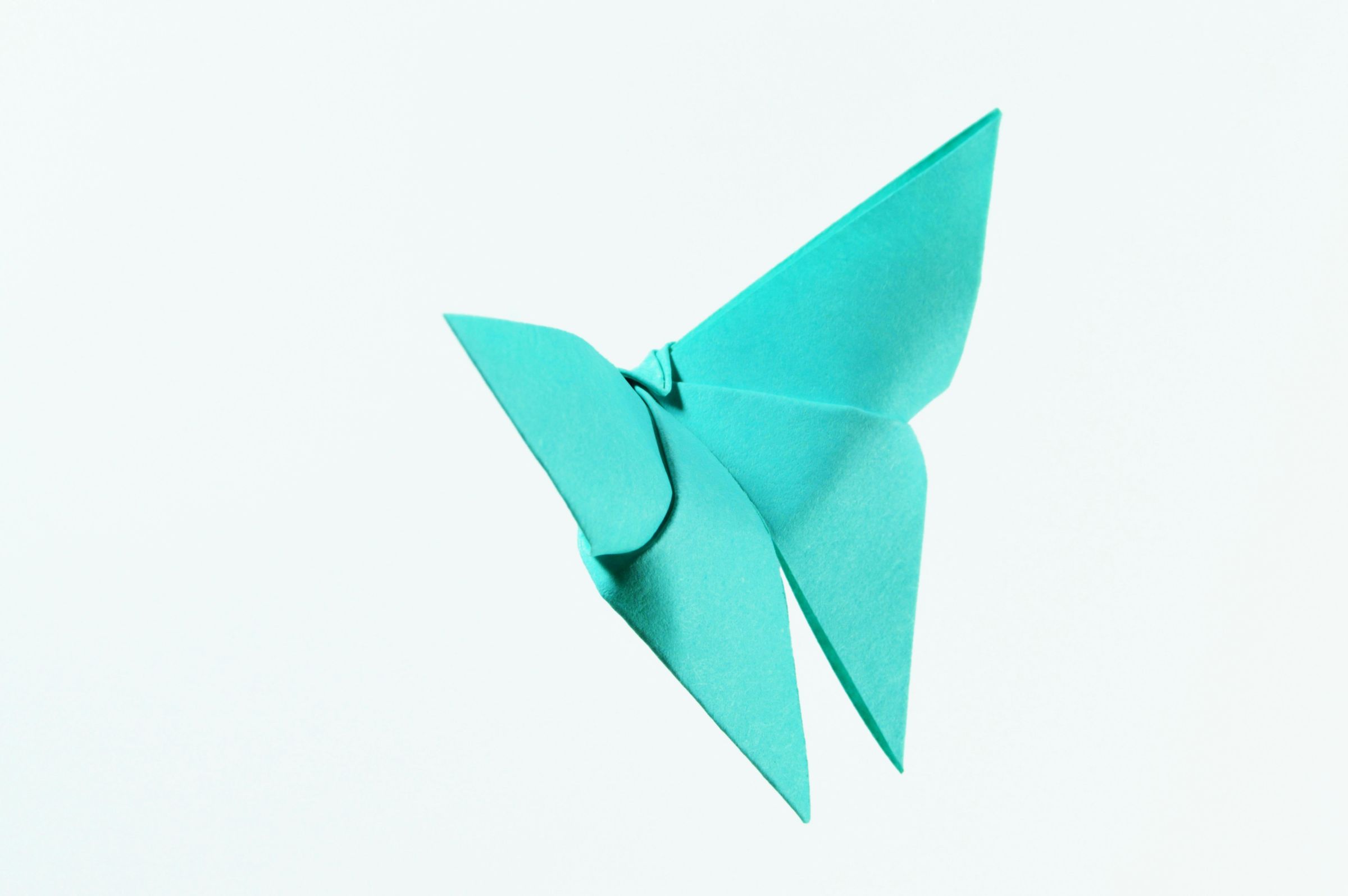 origami-image
