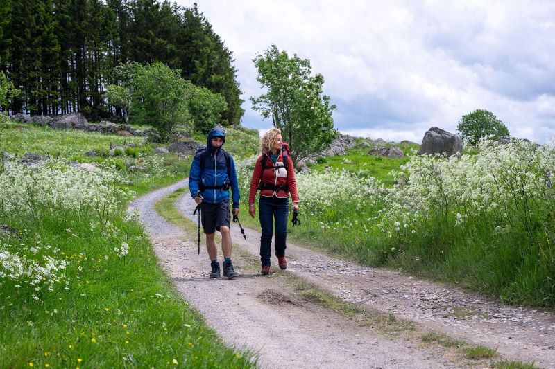 2copyright-2025-marie-camille-orlando-eveya-productions-page-films-apollo-films-distribution-france-3-cinema-auvergne-rhone-alpe