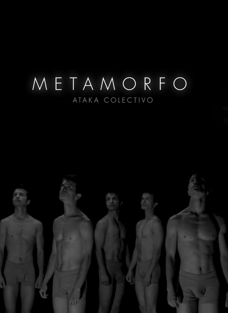 3.-matamorfo-colombie