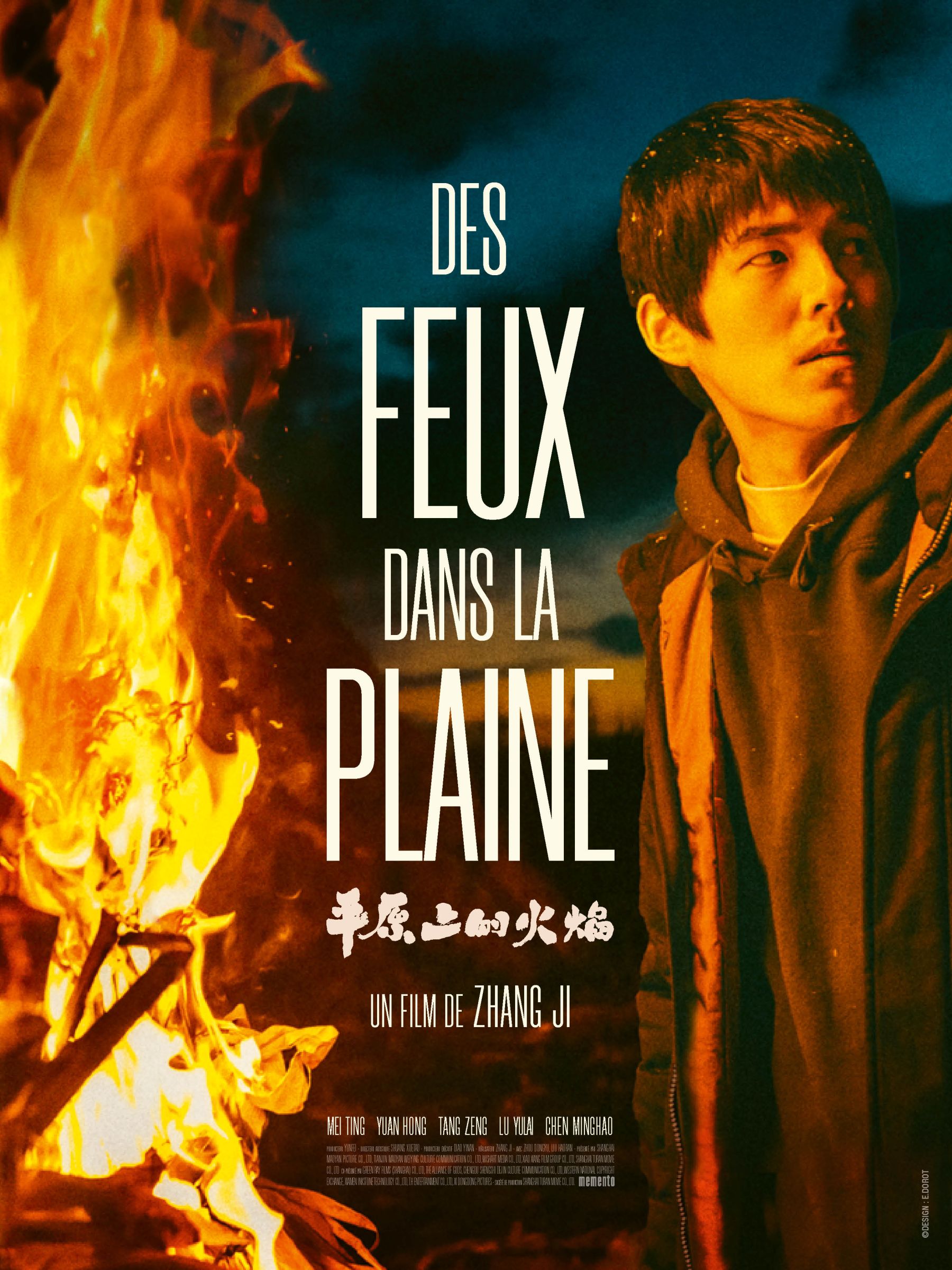 des-feux-dans-la-pleine_affiche_120x160