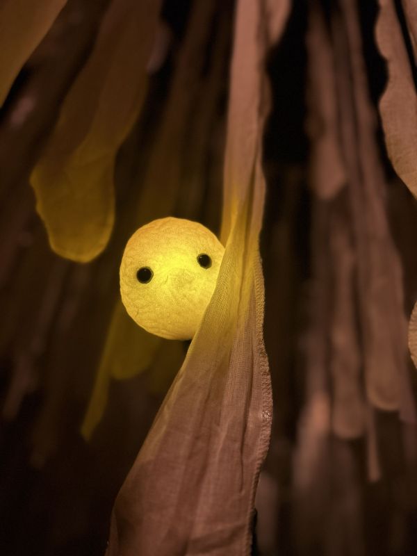 photo-e-mouvoirmaxence-siffer