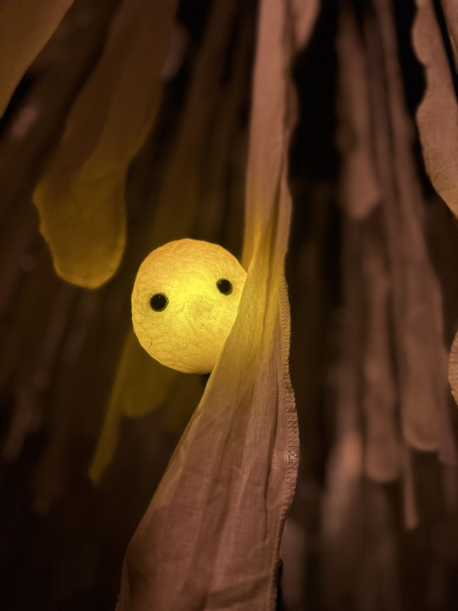 photo-e-mouvoirmaxence-siffer