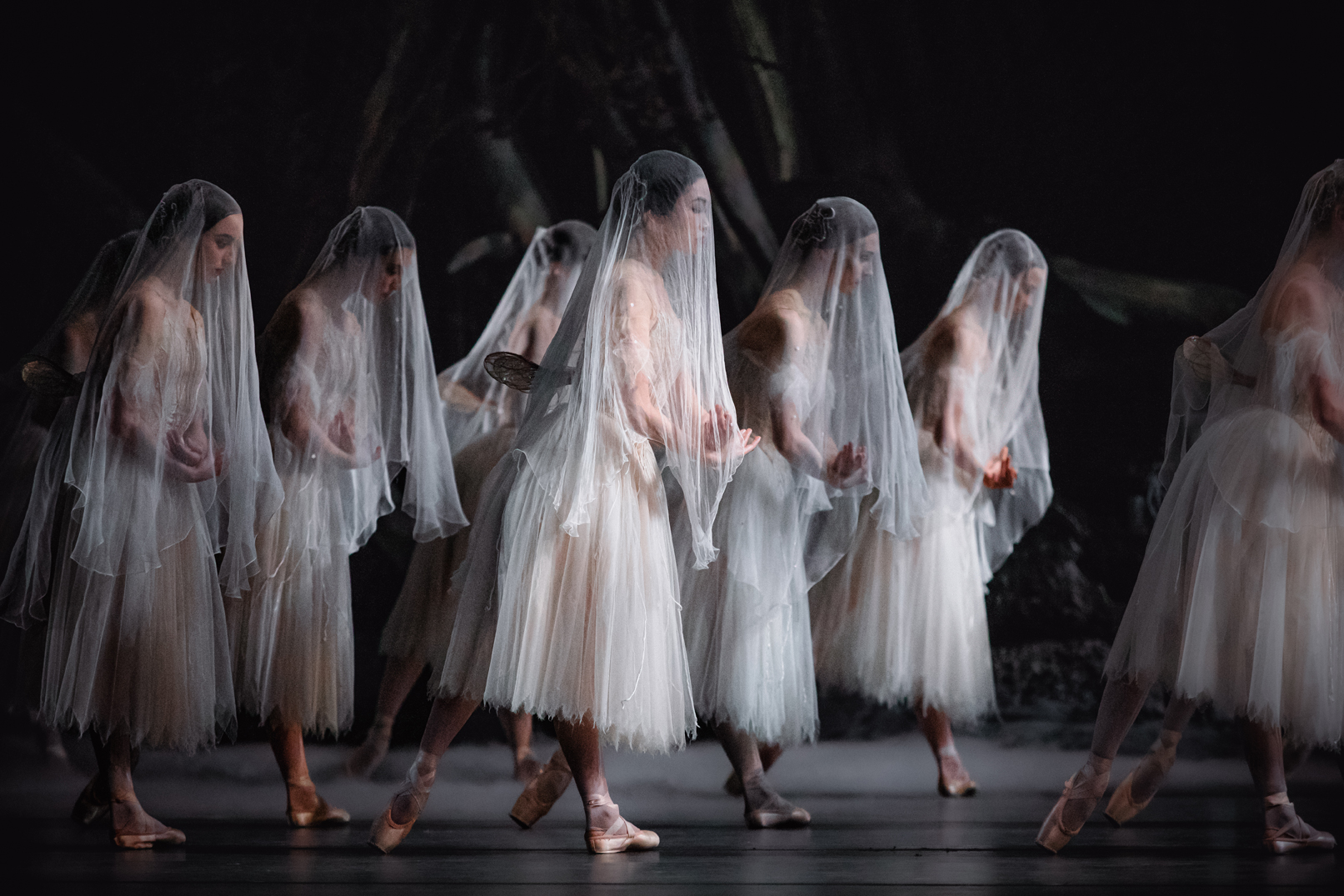 giselle_image_1_web