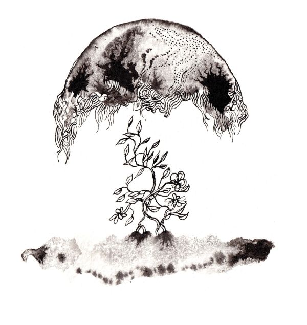 e5a3ba22-fff8-43c0-8418-ed29cf6cf5fc