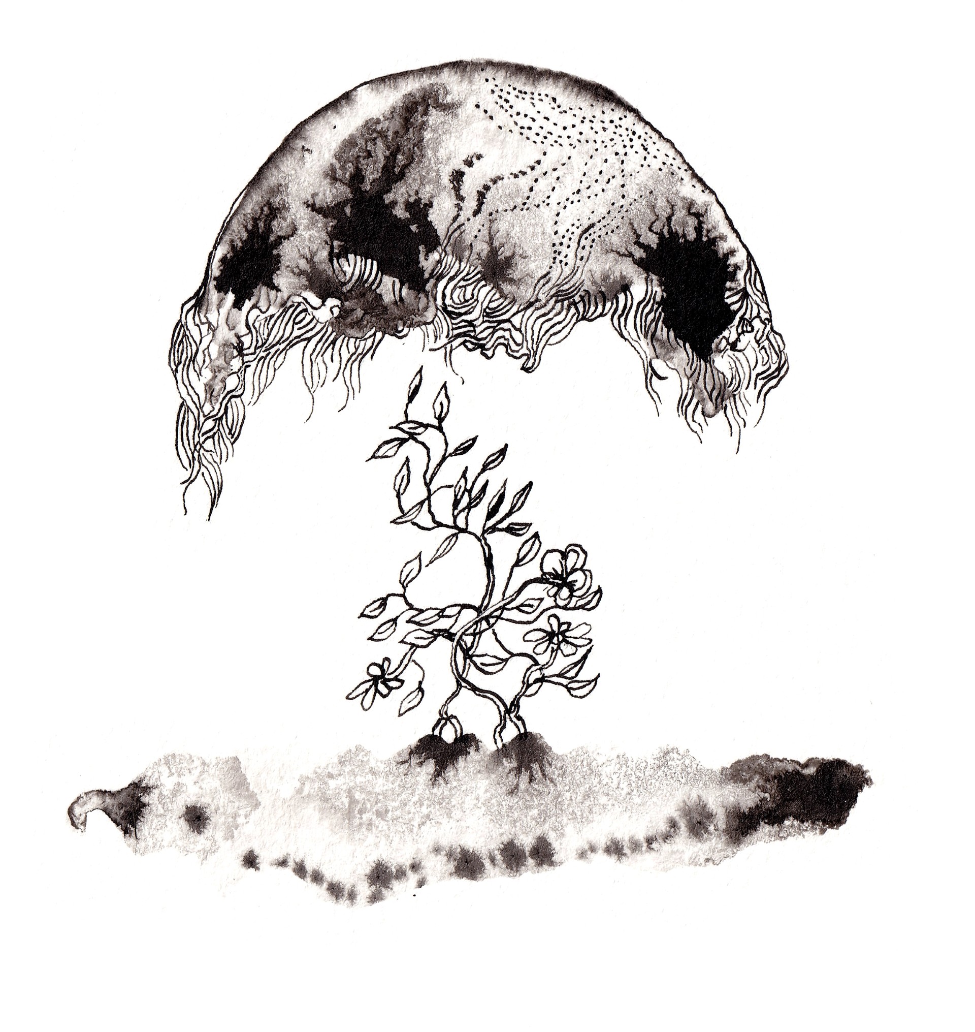 e5a3ba22-fff8-43c0-8418-ed29cf6cf5fc