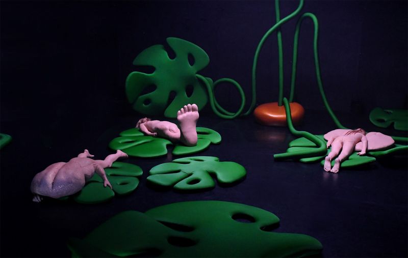 les-merveilles-cledat-petitpierre-jeudi-24-mars-20h-a-la-faiencerie-yvan-cledat