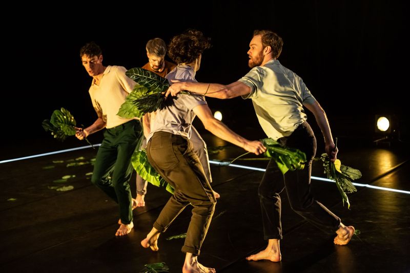 7386-cabanea.-lyleire