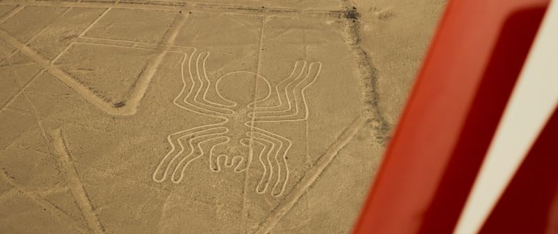 lady-nazca_good-rotor-6octopolis