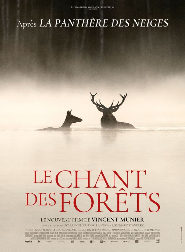 le-chant-des-forets_le-chant-des-forets