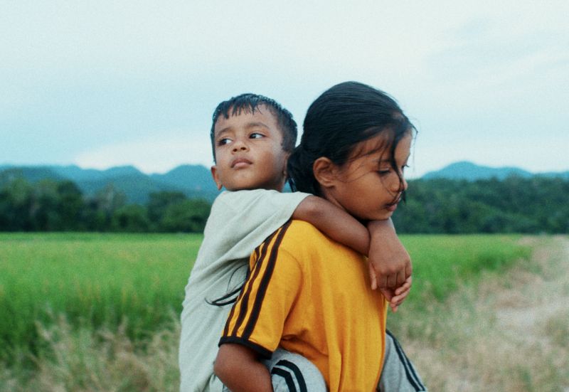 les-fleurs-du-manguier