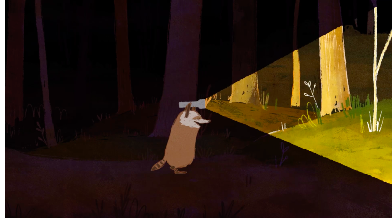 2018-calartsraccoonandthelight02