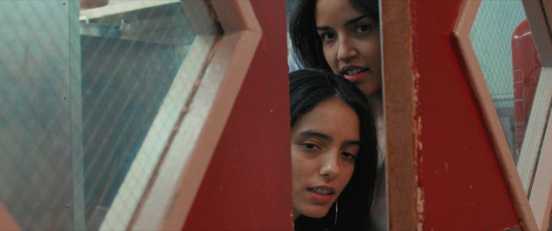 still-2025-07-17-172533_2.5.4