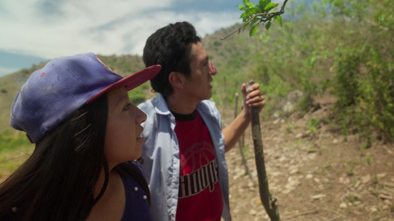 13f60f36-1435-nt-still-005