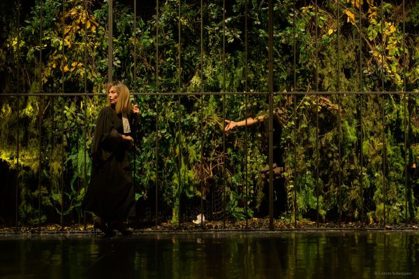 robin_6@laurent-schneegans