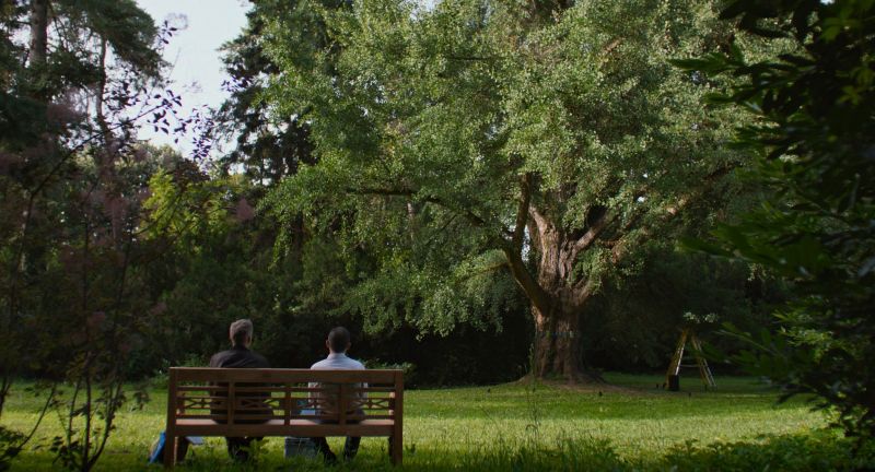 wd-cjlfq-2025-pandora-film-silent-friend_galatee-films-inforg-m-m-film-arte-france-cinema_10