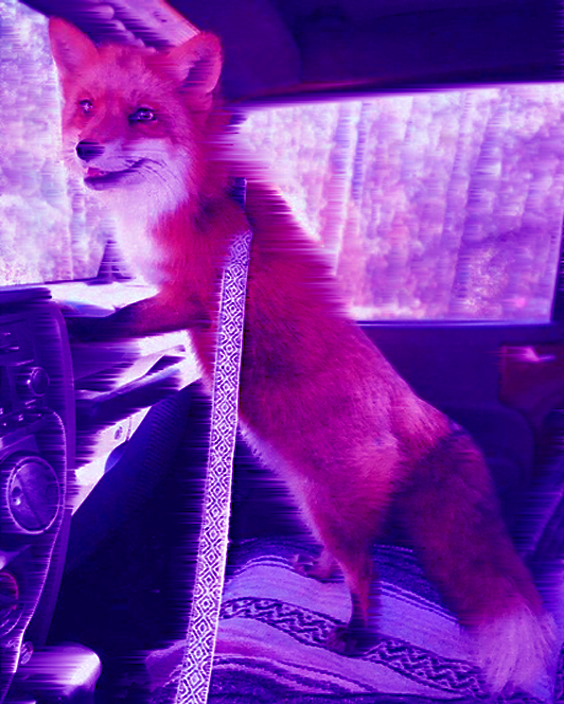 la-ruse