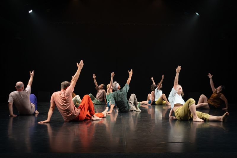 danser-ensemble-5-lechangeur-cdcn